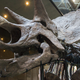 Image for article titled Ancient Bones and Millionaires: Dinosaurs For Sale in Manhattan